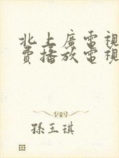 北上广电视剧免费播放电视剧全集