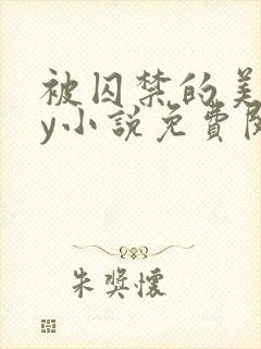 被囚禁的美人by小说免费阅读封面