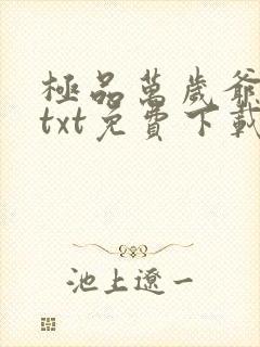 极品万岁爷小说txt免费下载封面