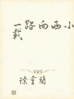 一路向西小说下载封面