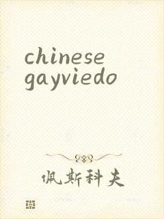 chinesegayviedo