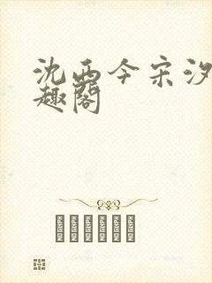 沈西今宋汐汐笔趣阁封面