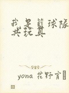 我是篮球队的公共玩具