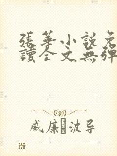 张华小说免费阅读全文无弹窗