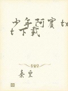 少年阿宾 txt 下载