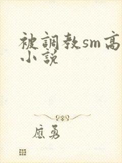 被调教sm高h小说封面