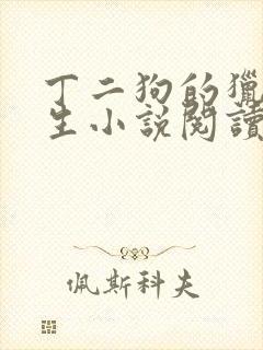 丁二狗的猎艳人生小说阅读