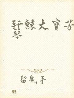 轩辕大宝芳菲雅琴