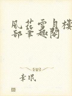 风花雪月楼第二部笔趣阁封面