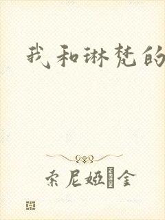 我和琳梵的故事