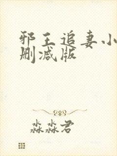 邪王追妻小说无删减版