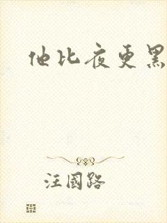 他比夜更黑封面