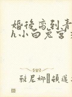 婚后脔到青梅哭h小白兔宫交h