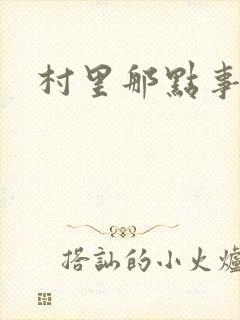 村里那点事儿封面