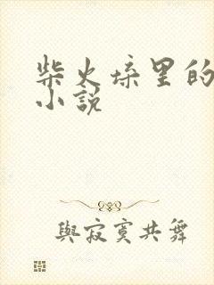 柴火垛里的疯狂小说封面