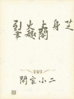 引火上身芝麻糖笔趣阁