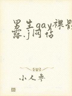 男生gay裸体露.j网站
