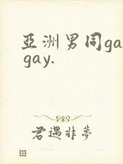 亚洲男同gay gay.