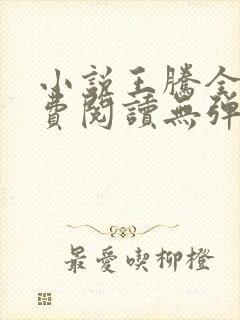 小说王腾全文免费阅读无弹窗