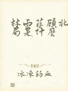 林雨菲顾北潇结局是什么