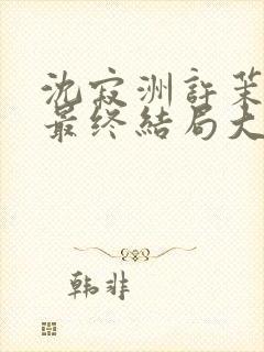 沈寂洲许茉孟姣最终结局大结局封面