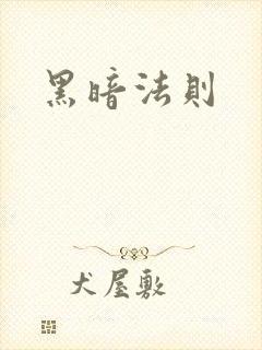 黑暗法则封面