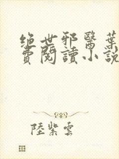 绝世邪医叶凡免费阅读小说封面