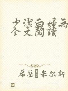 少洁白妇无删减全文阅读封面