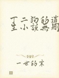 丁二狗的逍遥人生小说无删减