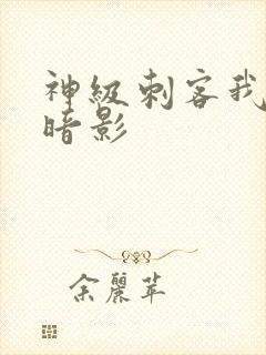 神级刺客我即是暗影