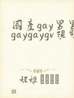 国产gay男男gaygaygv视频