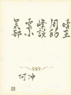 吴云峰周晴是哪部小说的主人公