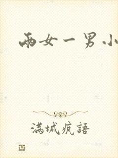 两女一男小说封面