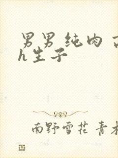 男男 纯肉 高h生子