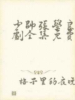 少帅张学良电视剧全集免费观看星辰