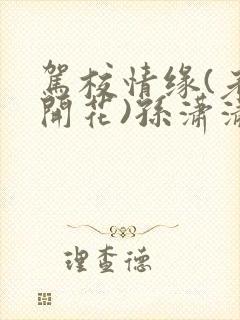 驾校情缘(老树开花)孙潇潇笔趣阁