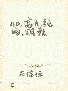 np,高h,纯肉,调教封面