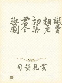 与君初相识电视剧全集免费西瓜封面