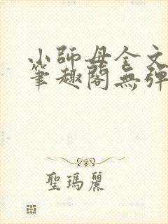 小师母全文阅读笔趣阁无弹窗封面