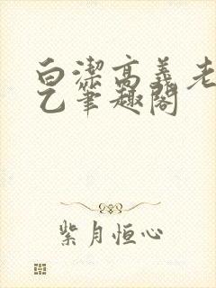 白洁高义老七王乙笔趣阁封面