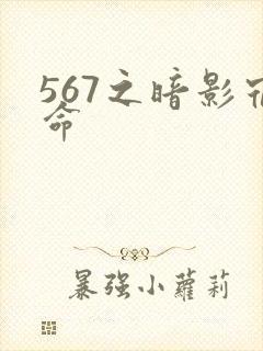 567之暗影宿命