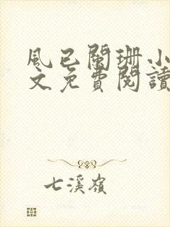 风已阑珊小说全文免费阅读最新章节