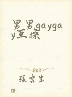 男男gaygay互操