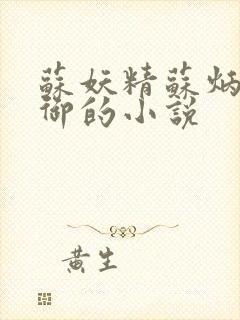 苏妖精苏炳毅寒御的小说