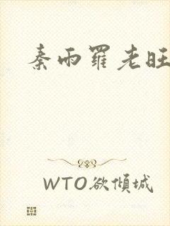 秦雨罗老旺封面