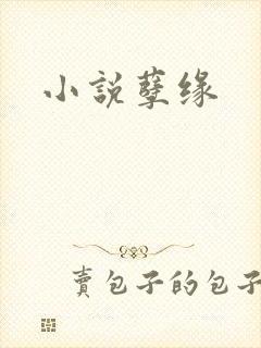 小说孽缘