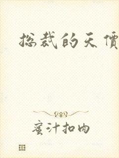 总裁的天价宠妻