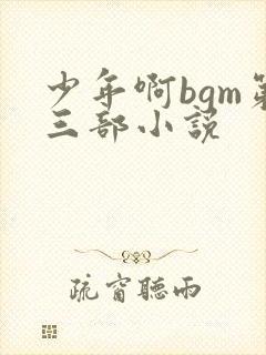 少年啊bgm第三部小说