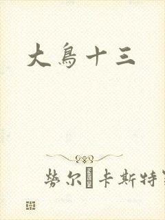 大鸟十三
