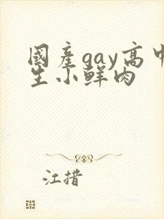 国产gay高中生小鲜肉封面